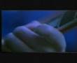 DURUTTI COLUMN CLIP