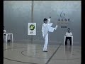 Roque Bernardes - Campeonato Goiano de Kung fu/Wushu 2007 Roque Bernardes - Campeonato Goiano de Kung fu/Wushu 2007