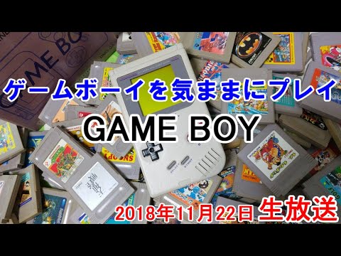 動画