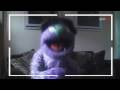 My First Video! =3  [READ DESCRIPTION] | Pets  Animals Videos,pets-animals-videos free online video