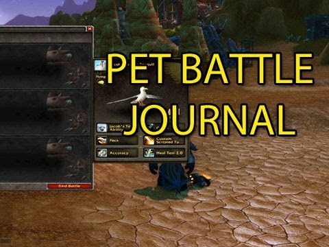 pet