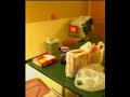 Interview at Stop  Shop: the Last meal and pudding