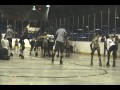 Dolls vs Gories Closed Game Period 1Music by: Serial JoeFor more info go to http://www.torotnorollerderby.com