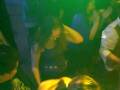 videos de Big Boy Concert in Toronto #11