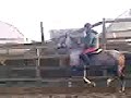 ELLIE JUMPING 1.10 course