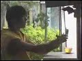Jay Chou Panasonic CM revelaed