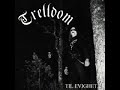 artist: trelldom
album: til evighet
song: taake