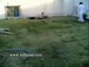 http://www.talfazati.comقناص ومهاجم وهداف الموسم القادم ربما ستكون وجهته فريق برشلونة وهناك ريال مدريد و جيفونتس على الخطFutur star,chelsea,real madrid,barcelona,spain,espan,spana,euro,2008,porto,manu,united,manchester,ajax,lyon,monako,marseil,juventus,milan,raja,widad,mountakheb,montakheb