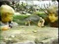 He-Man Trap Jaw Toy Commercial