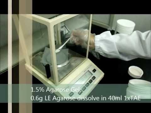 how to dissolve agarose