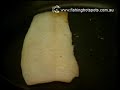 See Video