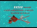 Ekosu