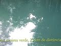 FLORESTA ENCANTADA