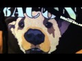 Talking Dog Face!