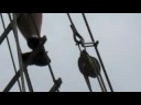 Schoeller Arca Tall Ship Sailing