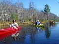 Kayaking the headwaters of the Suwannee River