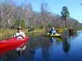 Kayaking the headwaters of the Suwannee River