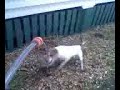 Patches and the hose