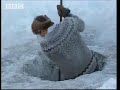 Arctic Fishing - Ray Mears World of Survival - BBC Arctic Fishing - Ray Mears World of Survival - BBC