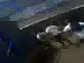 ubuv ubuv