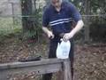 videos de cold steel bushman milk jug cut test