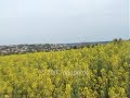 Rataje, widok na Wąchock i Starachowice