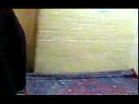 The House of Imam Ali (AS)