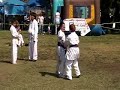 59th Israel Independence Day Festival (MMA Demo)
