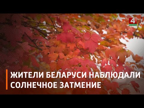 25 октября жители некоторых частей планеты стали свидетелями солнечного затмения видео