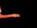 Thumbnail #3