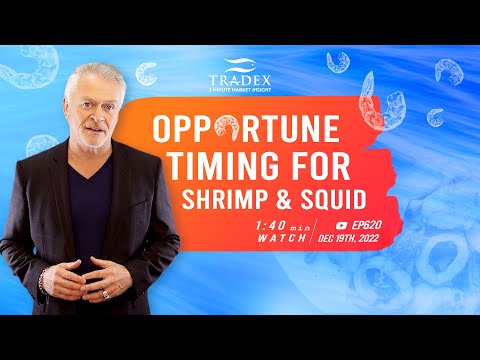 3MMI - Supply & Pricing Opportune for Ocean Shrimp & Squid