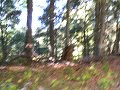 Hill Meadow