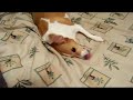 Chyna - Fun By Herself Chyna - Fun By Herself