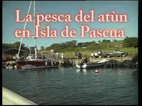 Imagen de previsualización de YouTube