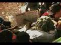 Queen Ifrica - Rasta Nuh Chat Rasta