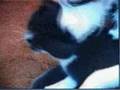 Carax's music video of New Order