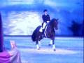 HENGSTE the stallion show at EQUITANA 2007, Hengstschau