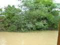 Vietnam -6