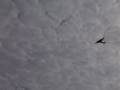 Messerschmitt Me323