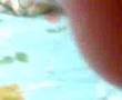 Sxhelee + Kaaren + carniceria (? + mi cuarto :3 + fkjhdghdf