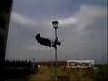 eu noss parkour rovinari