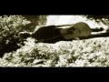 Reggae music 2011 new song by SUN-I