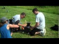 Team Bollinger Qualifies - US National Anvil Shooting competition