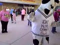 Chick-fil-a Cow Freakdance