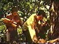 D�g�n�ration/reel du foss�