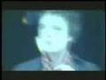 clip video Babyshambles I Wish