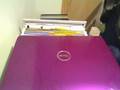 High-End Dell Inspiron 1525 w/ Purple Blossom Cover