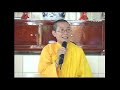Kinh ví dụ lõi cây