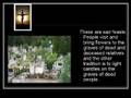 videos de all saint day