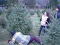 Patty D helping us the XMAS tree